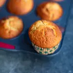 muffin nature
