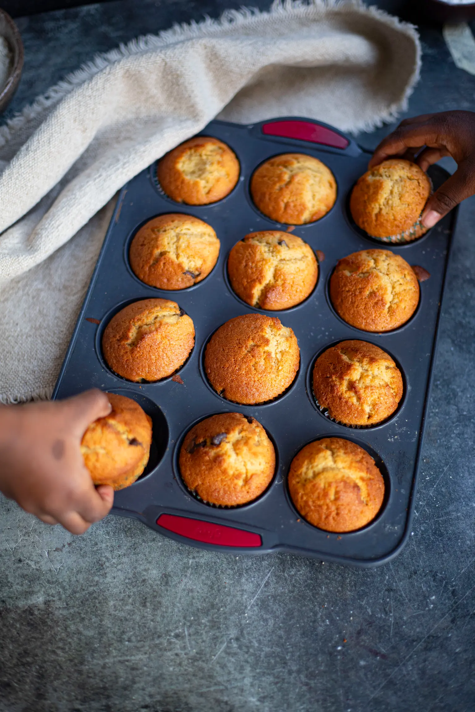 muffin nature
