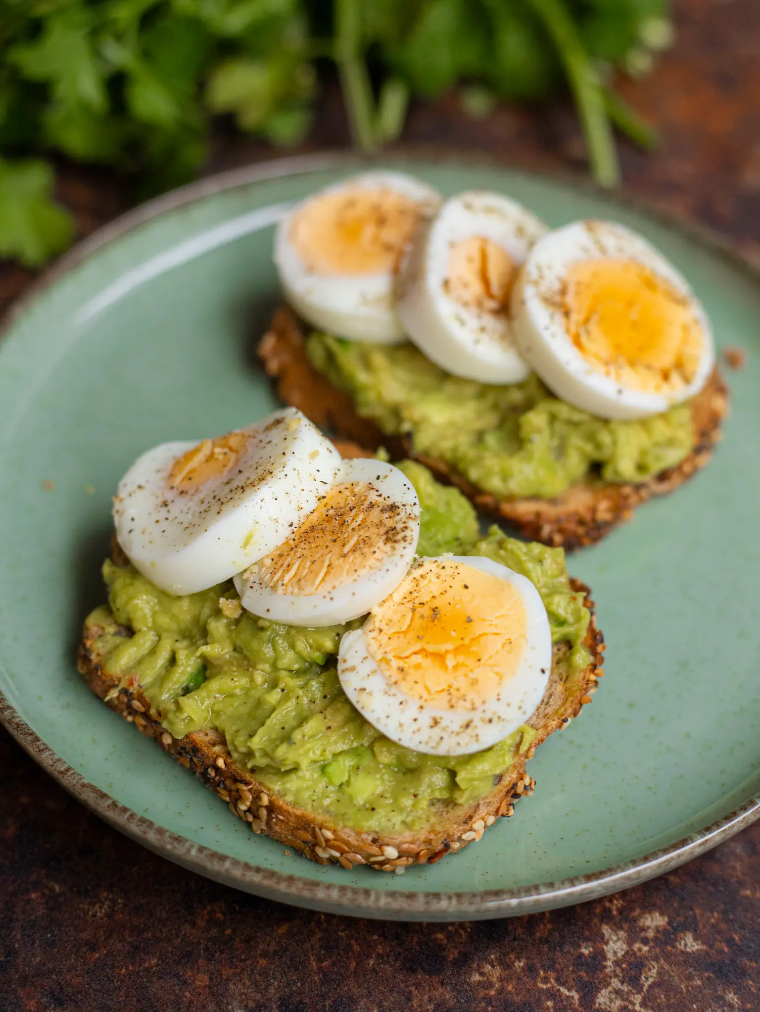 avocat oeufs