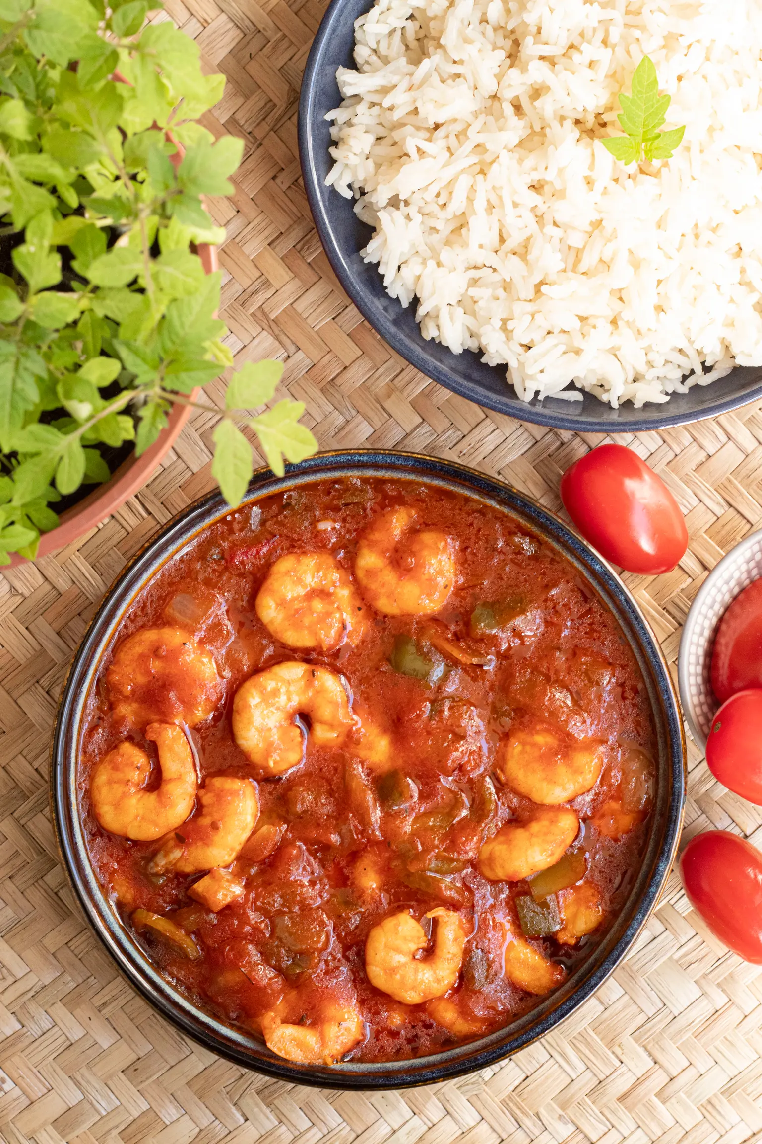 crevettes sauces tomate dans un bol avec riz