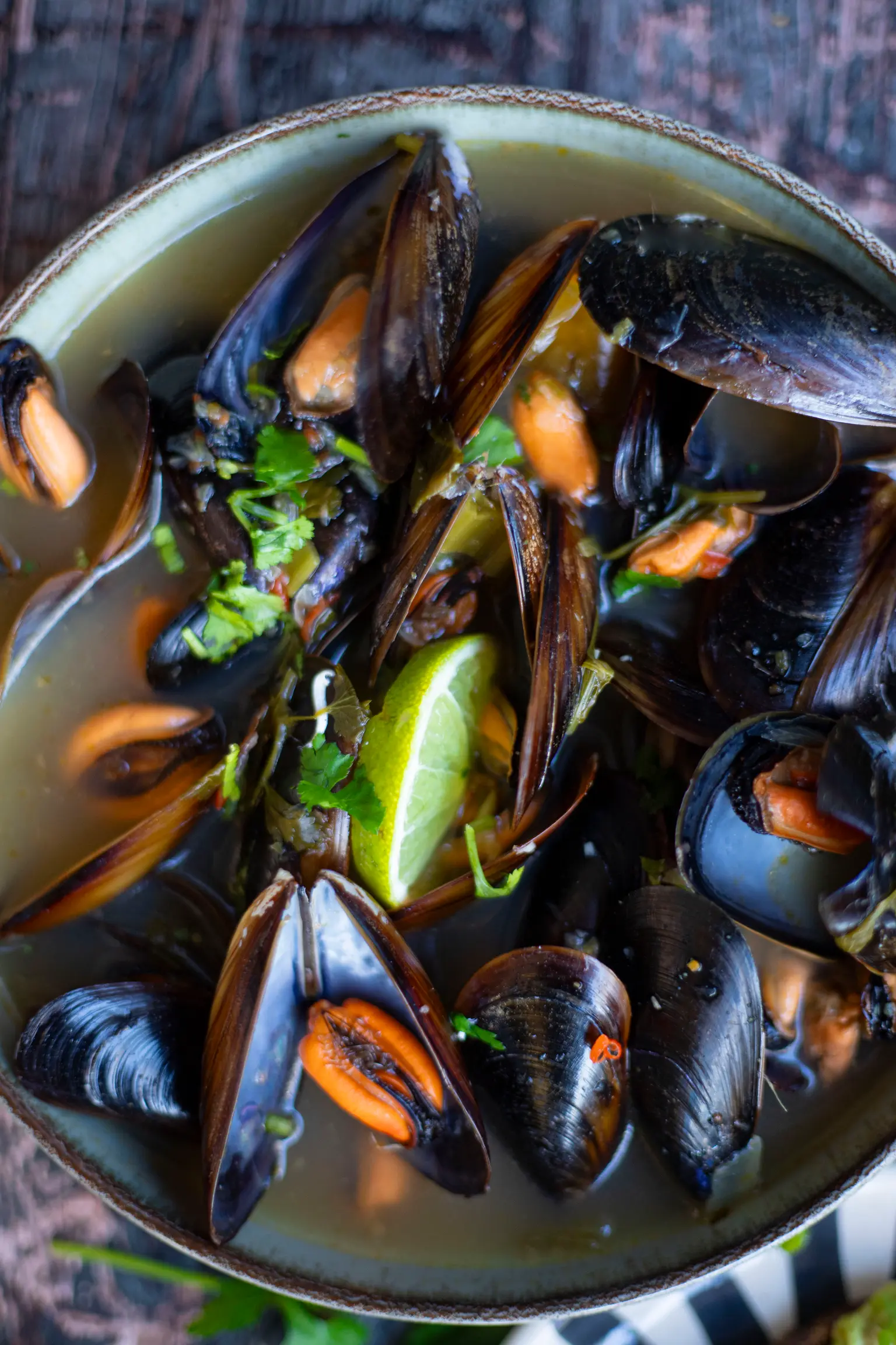 bouillon moule