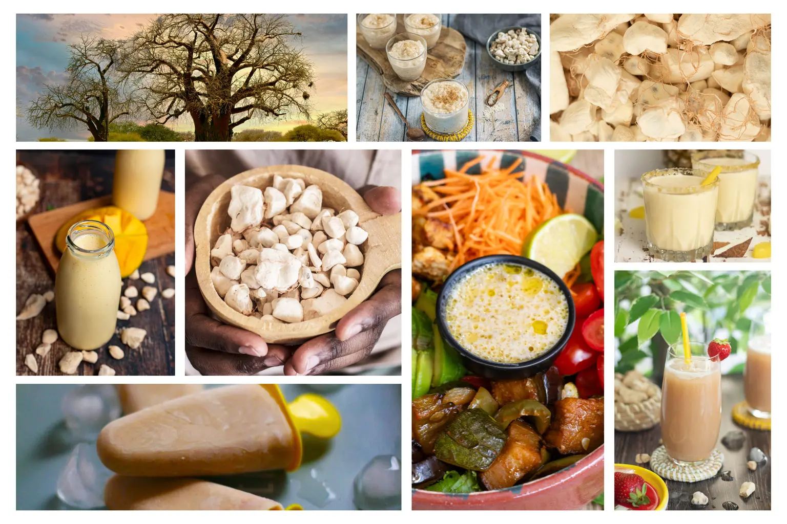 baobab